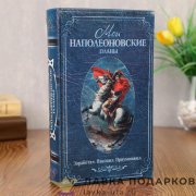Книга-сейф «Мои наполеоновские планы» 21 х 13 х 05 см. кож.зам. цвет синий 117410 
