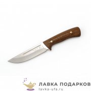 Златоуст / Нож туристический «Риф 115», сталь 95 х 18, рукоять накл. орех + латунь 