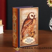 Книга-сейф «Знание - это абсолютная ценность нашего времени» кожзам 17 х 11 х 05 см. 479.4002 