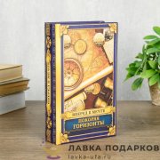 Книга-сейф «Покоряя горизонты» кожзам 21х 13 х 05 см.395.5877 