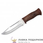 Златоуст / Нож туристический «Тайга», сталь 95 х 18, рукоять кожа. + аллюминий, ст. гравировка 