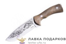 ТИ / Нож туристический Кизляр «Глухарь» 26см рукоять орех сталь украшенный 011101 