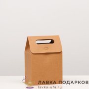 ПКРП / Пакет-коробка «Крафт» с вырубной ручкой, 14х8х19 см (XXS) 734.8000 