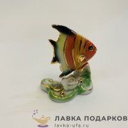Delicate / Фигурка «Рыбка тигровая на волнах» 10 х 08 см. (3 цвета) 2092_08 