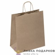 УП / Пакет подарочный «ЭКО» 25х12х22см крафт горизонтальный малый 90гм2 ручки крученые 609684 